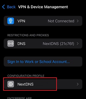 DNS Settings